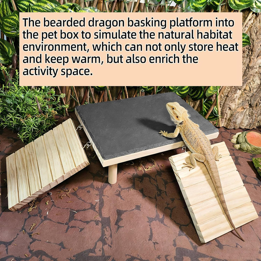 Reptile Bearded Dragon Basking Platform Rock with Climbing Ramp,S