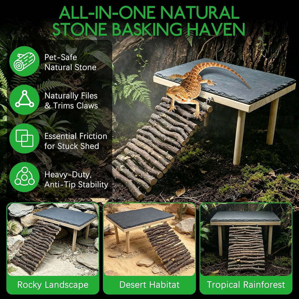 BNOSDM Basking Rock Platform with Climbing Ramp Reptiles Hideout Bearded Dragon Hide Cave Reptile Tank Accessories Suit for Tortoise, Lizard, Toad, Gecko (Large)