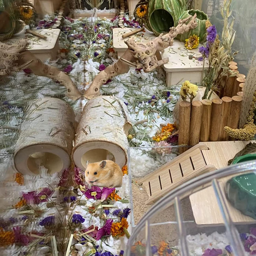 Wooden Hamster Tunnel Natural Birch Wood Tree Holes Tube Small Animal Hollow Trunk Hideout Exercise Dwarf Mice Chew Toys Cage Accessories for Chinchillas Guinea Pigs Dwarf Mouse Rat(10Pcs)