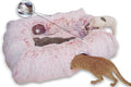 XxingSheep 4 Cave Shuttled XL Cat Tunnel Bed by XxingSheep