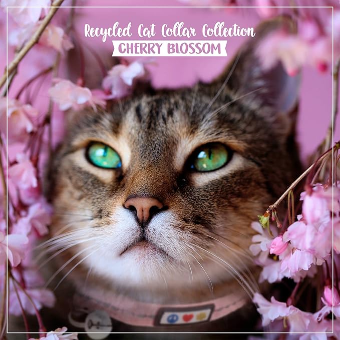 Pawtitas Recycled Pink Reflective Cat Collar – Eco-Friendly Breakaway Safety - Image 9