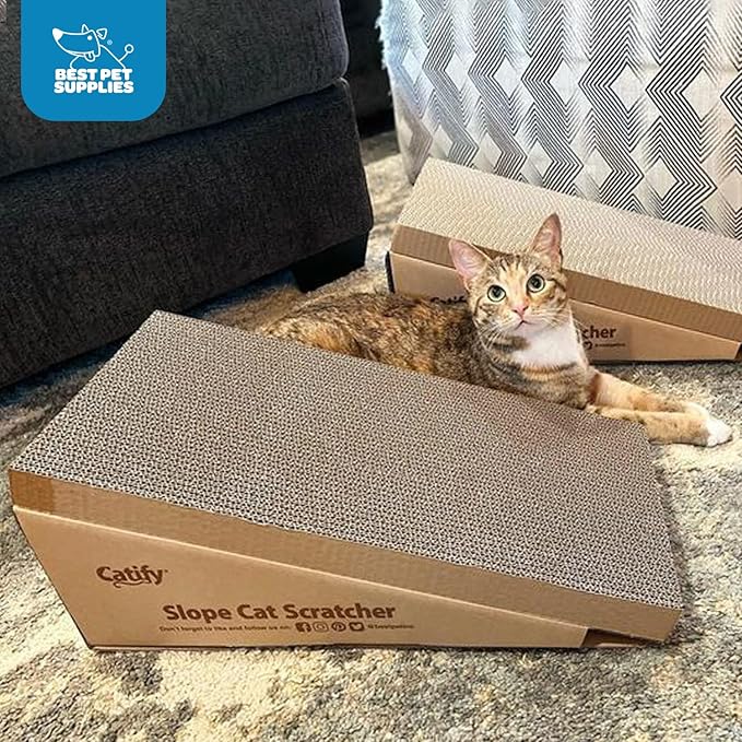 Best Pet Supplies Catify Cat Scratcher, Fun Interactive Scratchers, Claw Safe - Image 5