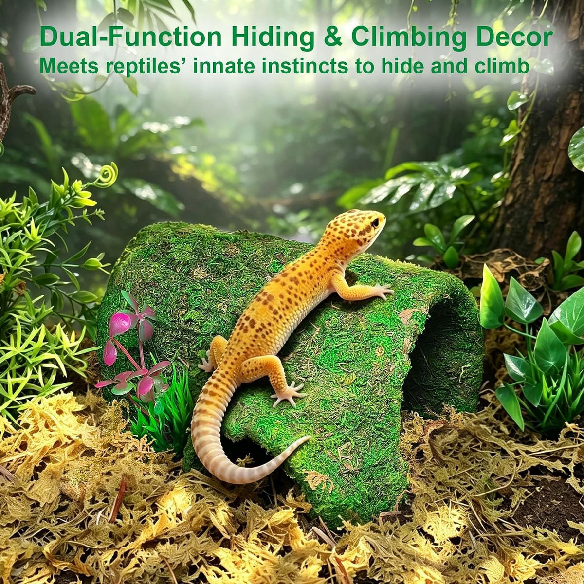 kathson Leopard Gecko Hide,Reptile Hideout Climbing Moss Caves Snake Hide