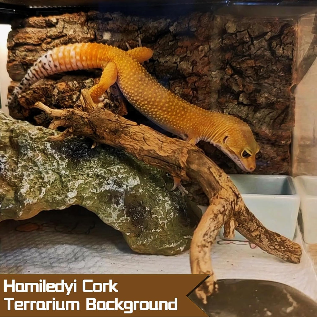 Cork Terrarium Background 11.8x7.9in 10PCS Natural Reptile Cork Bark Flats Terrarium Board Bearded Dragon Climbing Wall Mat Tank Accessories Decor for Lizard Chamelon Snake Turtle Spider Crested Gecko