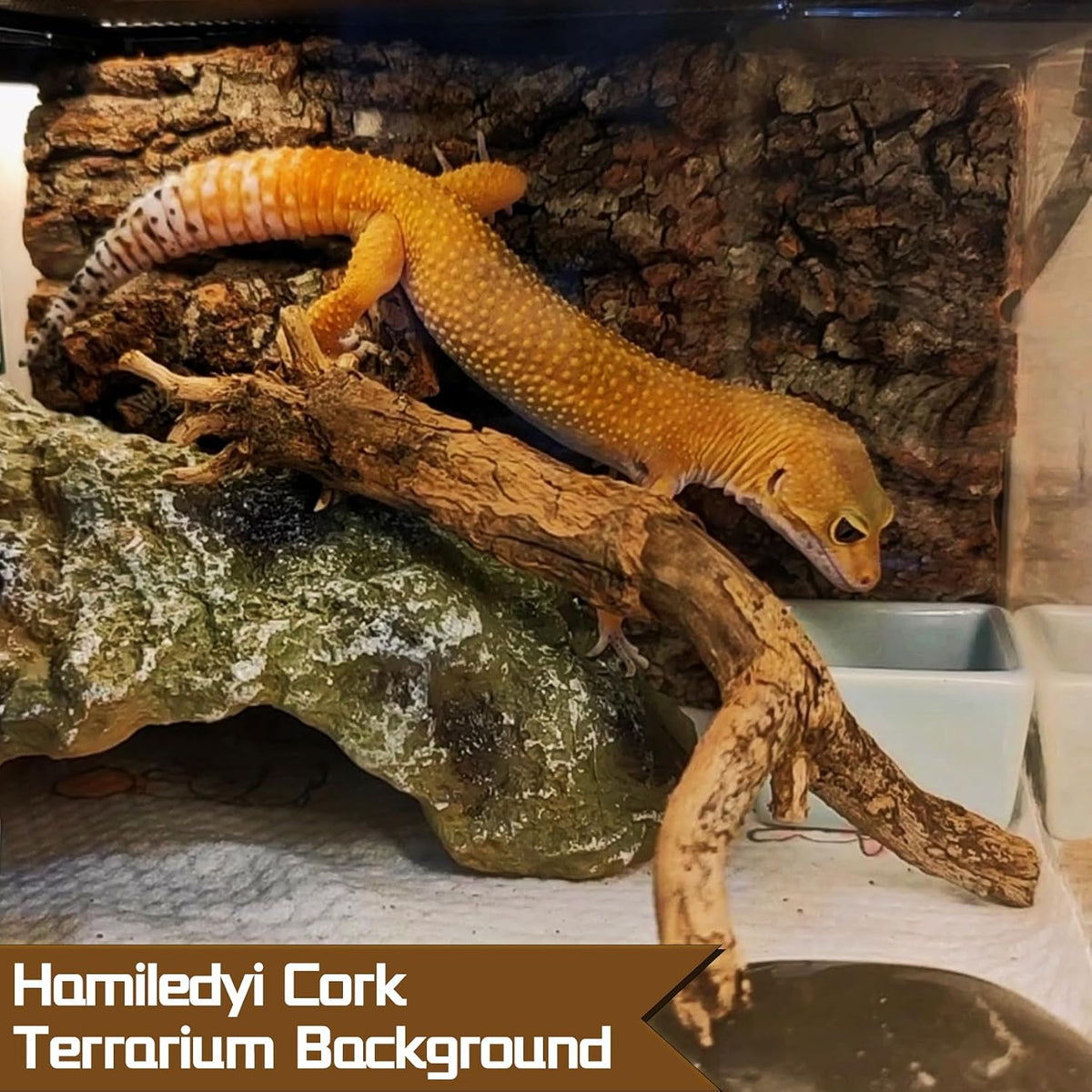 Cork Terrarium Background 11.8x7.9in 10PCS Natural Reptile Cork Bark Flats Terrarium Board Bearded Dragon Climbing Wall Mat Tank Accessories Decor for Lizard Chamelon Snake Turtle Spider Crested Gecko