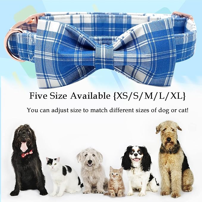 Lionheart glory Dog Collar, Boy Dog Collar Bowtie Blue Adjustable Dog Bowtie - Image 3
