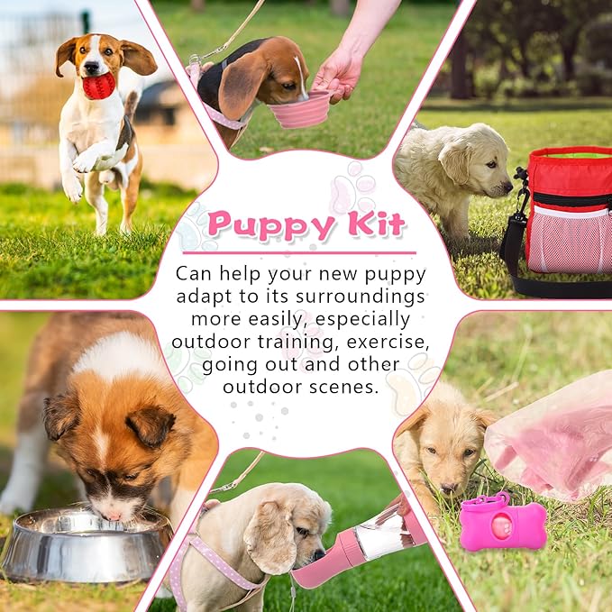 65 Pcs Puppy Supplies Starter Kit Small Dog Essentials Includes Dog Leash - Image 5