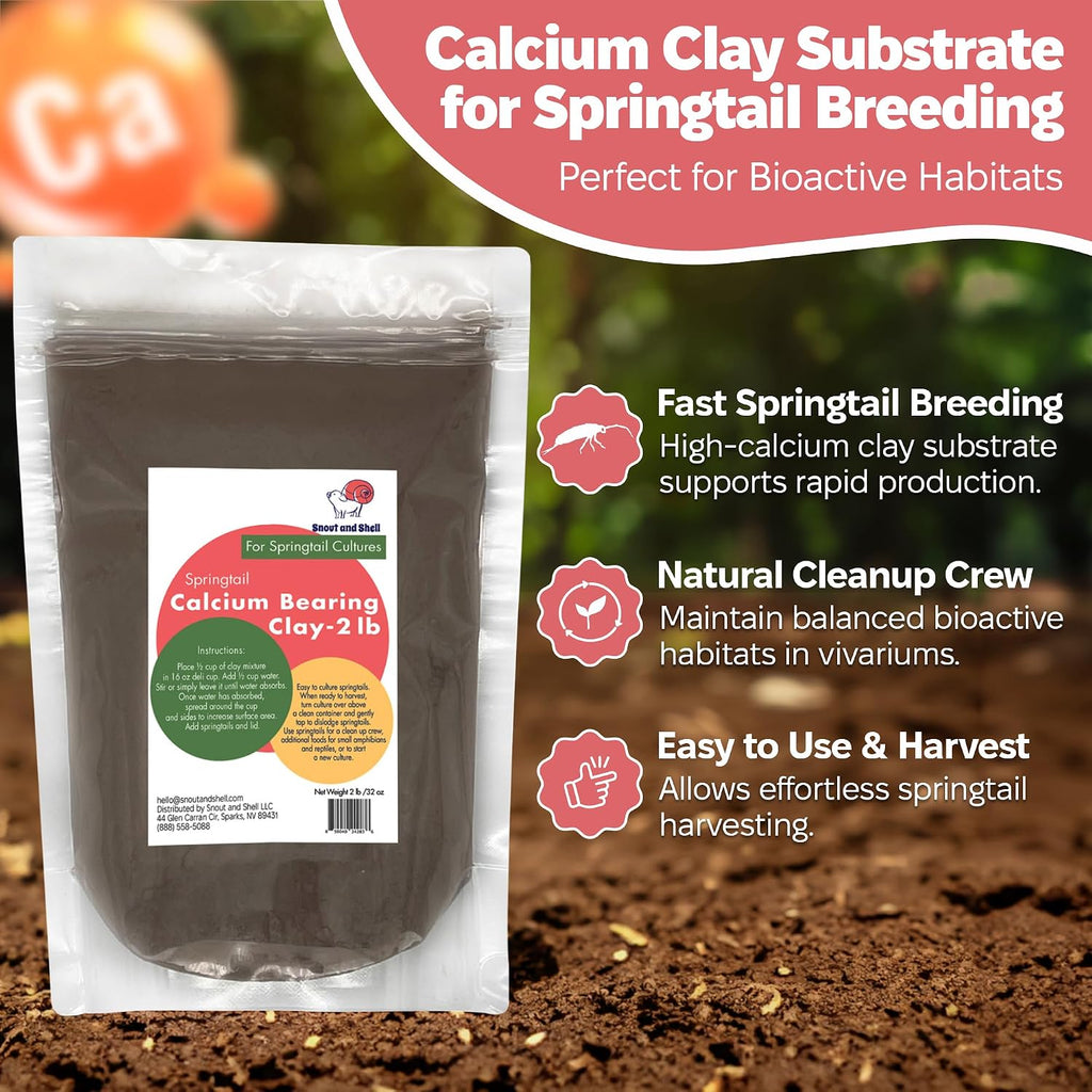Springtail Calcium Bearing Clay - 2 lb | Ideal for Culturing Springtails, Reptile and Amphibian Terrariums, and Natural Habitat Cleanup Crew