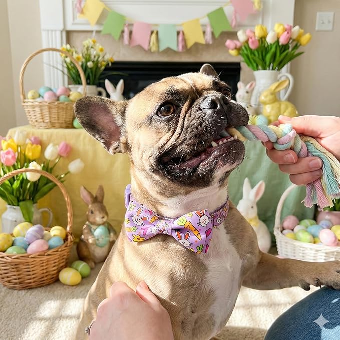 Easter Dog Collar with Bow Tie Set, Adjustable Purple Bunny and Carrot Pattern - Image 7