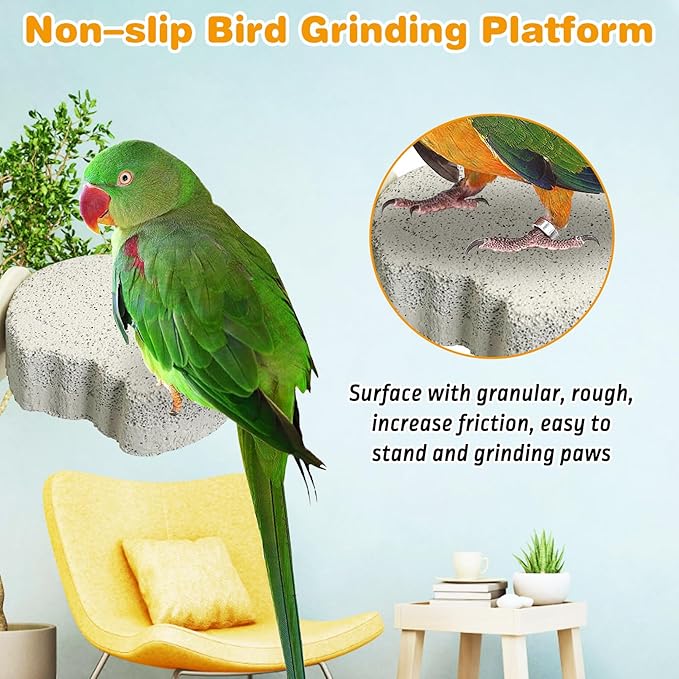 PINVNBY 8 PCS Bird Perch Parrot Beak Grinding Stone Calcium Mineral Parrot - Image 4