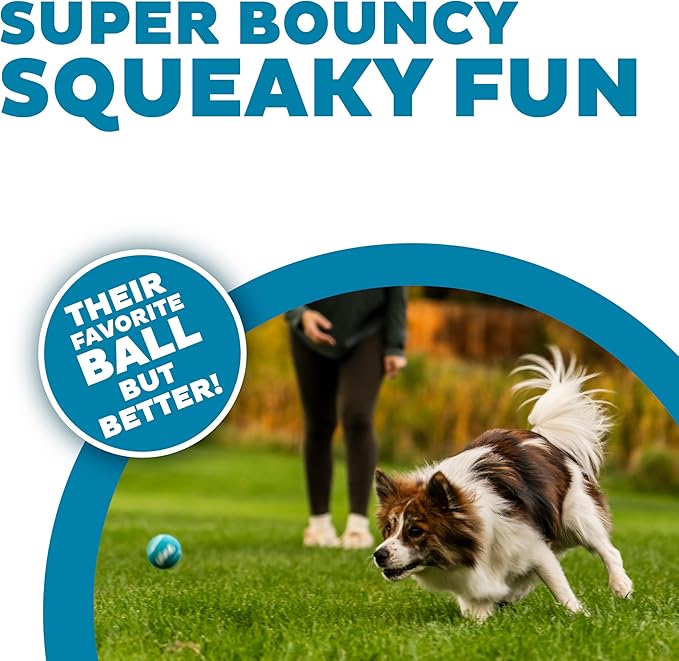 Outward Hound Squeaker Ballz – Squeaky Tennis Balls - Image 2