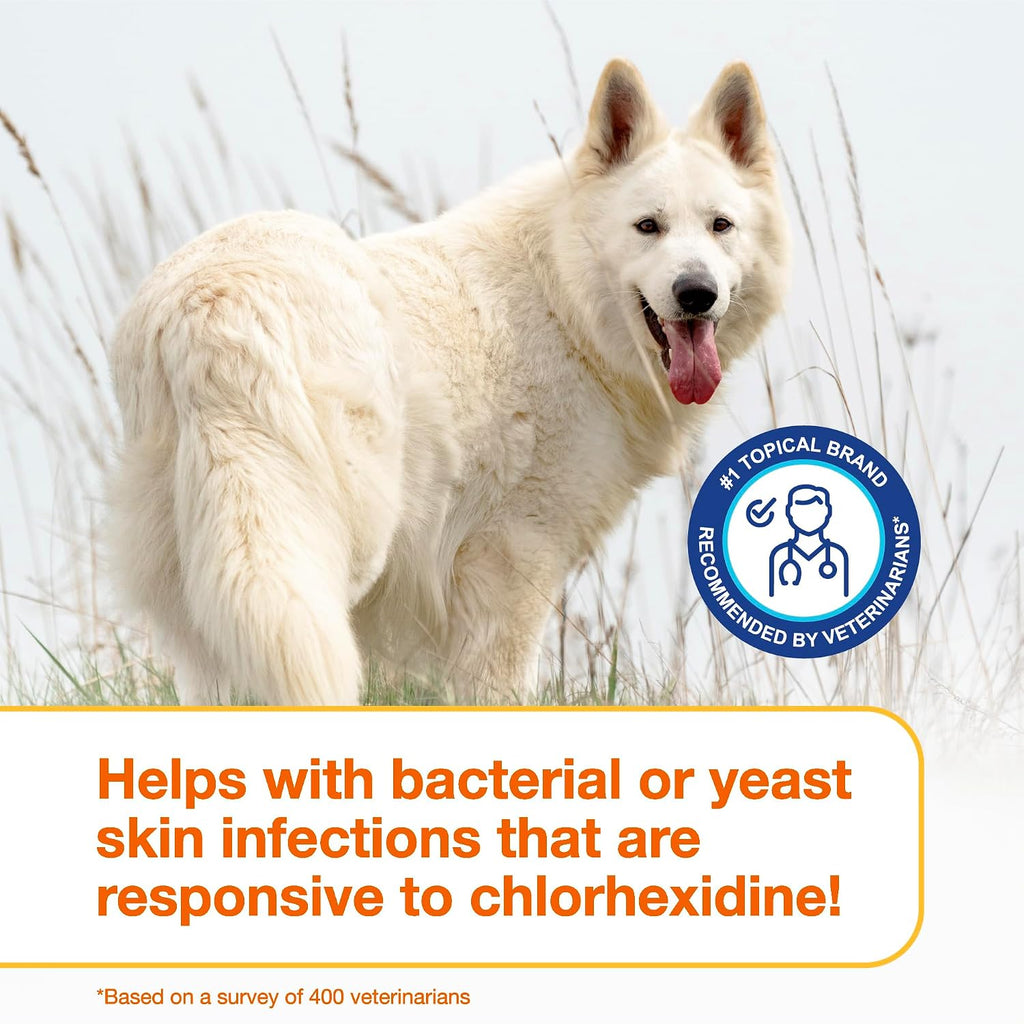 Douxo S3 PYO Chlorhexidine Shampoo (6.7 oz) & Mousse (5 fl oz) for Dogs