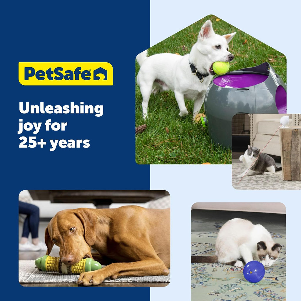 PetSafe Busy Buddy Bristle Bone Dog Treat Holding Chew Toy, Medium