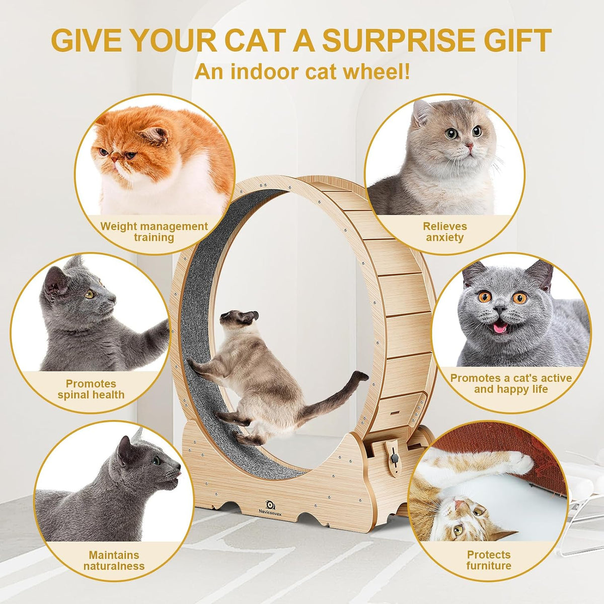 Cat Wheel, 46" XL Large Exercise Running Wheels with Detachable Carpet for Indoor Cats
