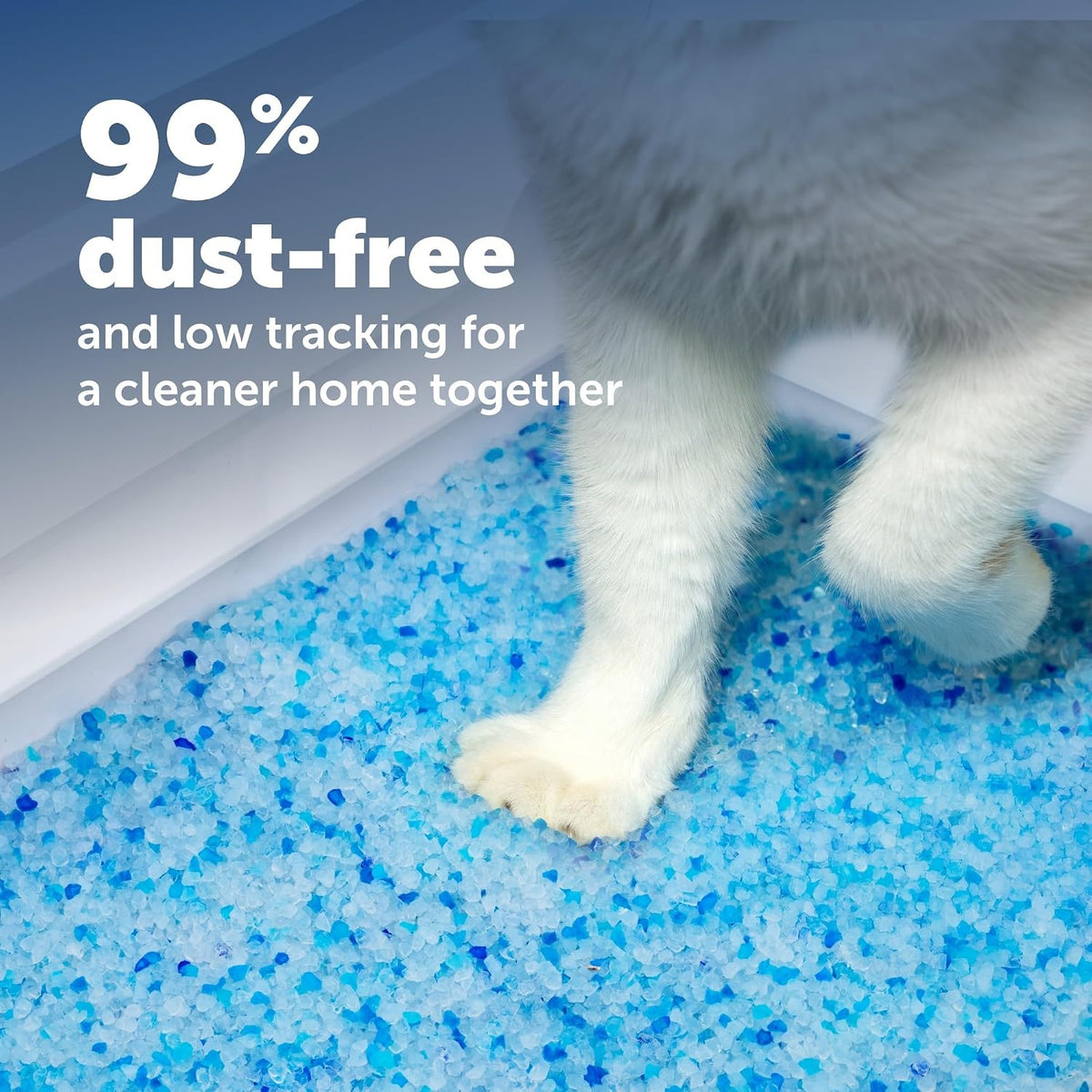 PetSafe ScoopFree Disposable Crystal Cat Litter Tray Refills, 6-Pack, Fresh