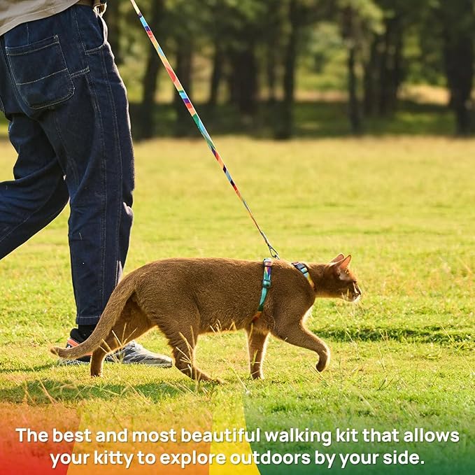 Cat Harness and Leash Set - Image 2