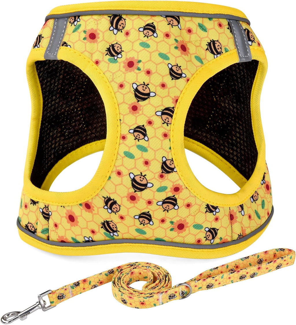 Mihqy Step in Dog Harness and Leash Set, Breathable Mesh, Black Bohemia,XS