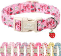 Strawberry Bow Dog Collar for Puppy Small Dogs by Babolepet