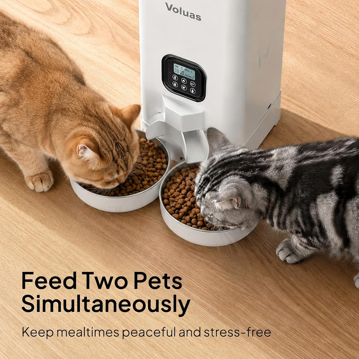 VOLUAS Automatic Cat Feeder for Two Cats with Dual Stainless Bowls, 6L