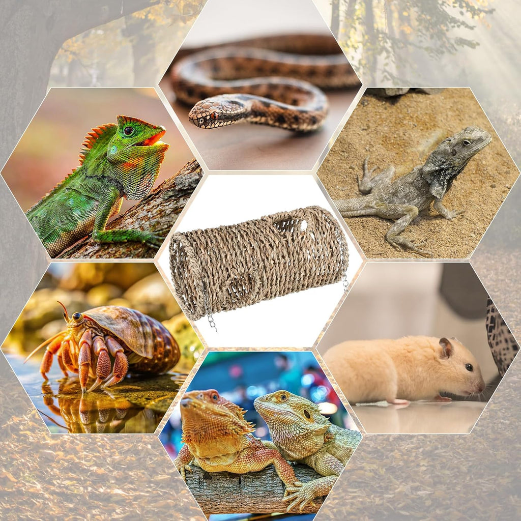 CroBlissful Bearded Dragon Tank Accessories