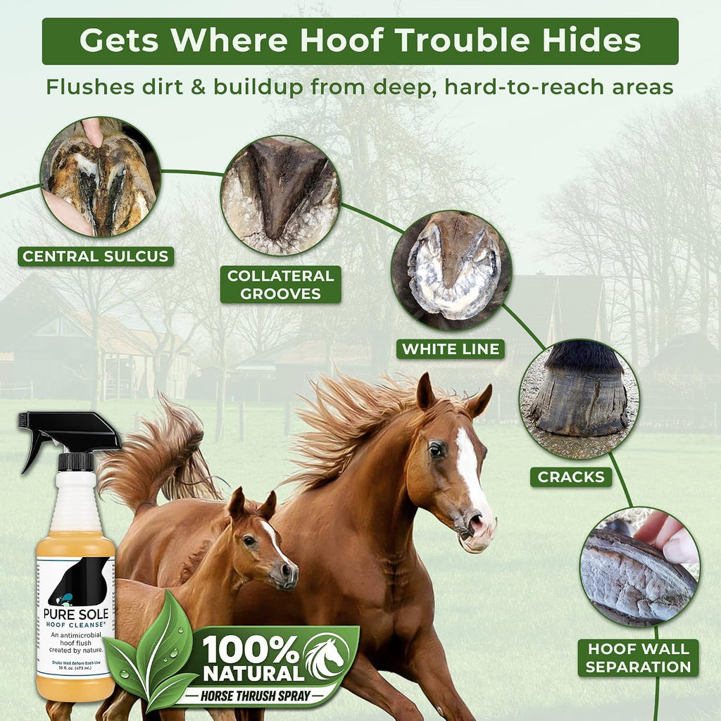 Hoof Cleanse Thrush Treatment Spray for Horses, 16 oz