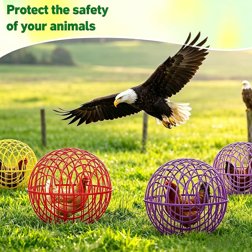 Chicken Ball Cage 4 Pack