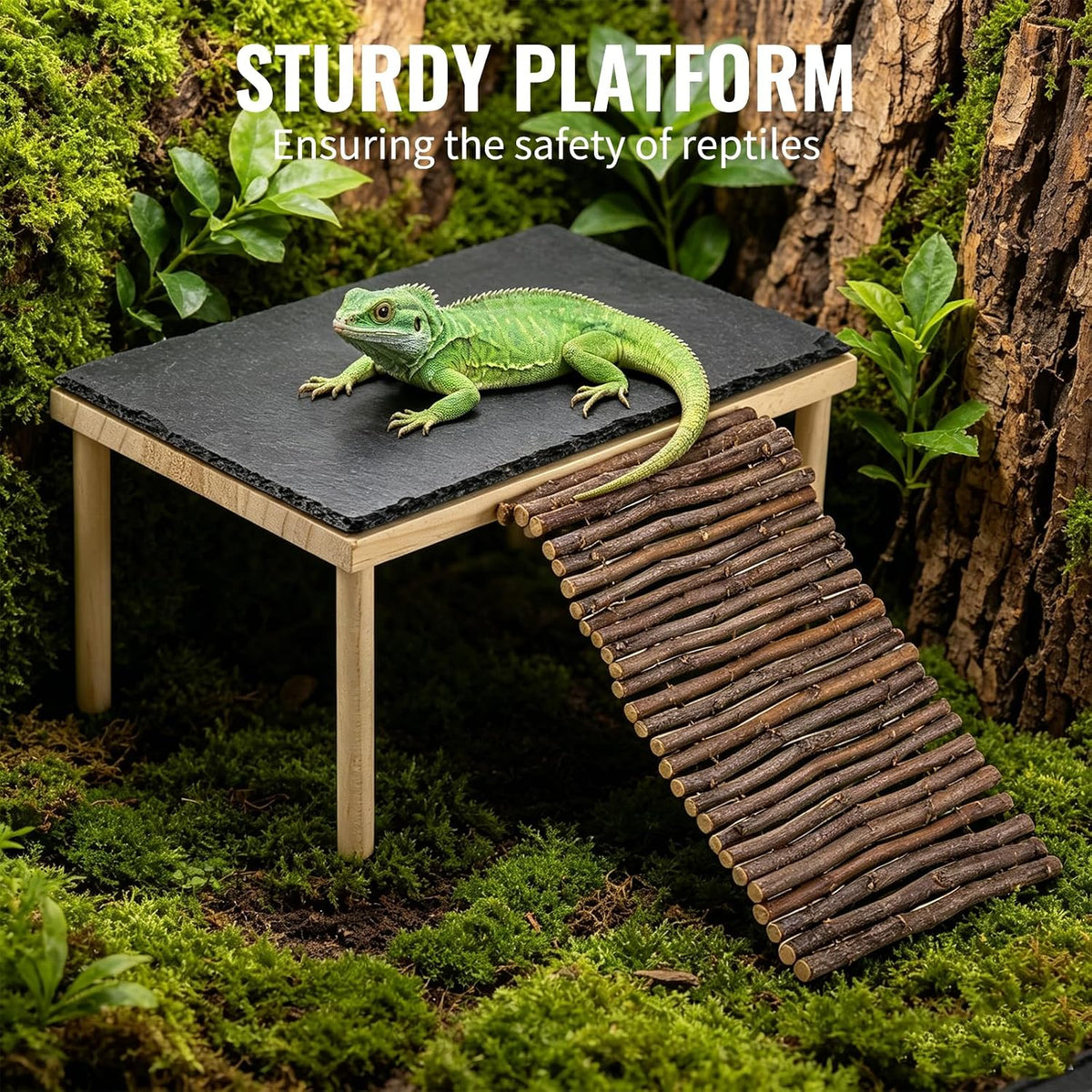Basking Rock Platform with Climbing Ramp Slate Painted Glossy Black Platform Reptile Resting Area Bearded Dragon Hiding Burrow Reptile Tank Accessory for Tortoises Lizards Toads Geckos