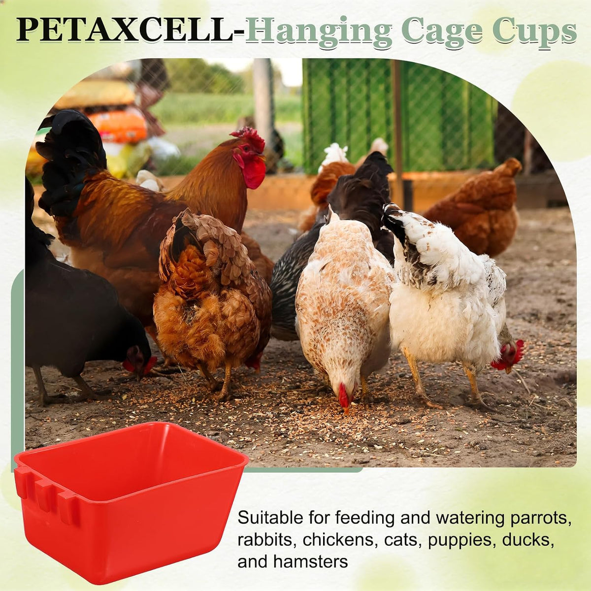 Cage Cups, 4.9x3.7x2.4 Parakeet Feeder(Blue, 20 Pcs)