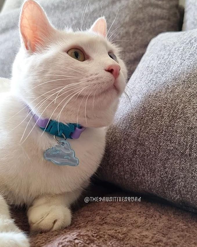 Kittyrama Mauve Cat Collar - Image 4