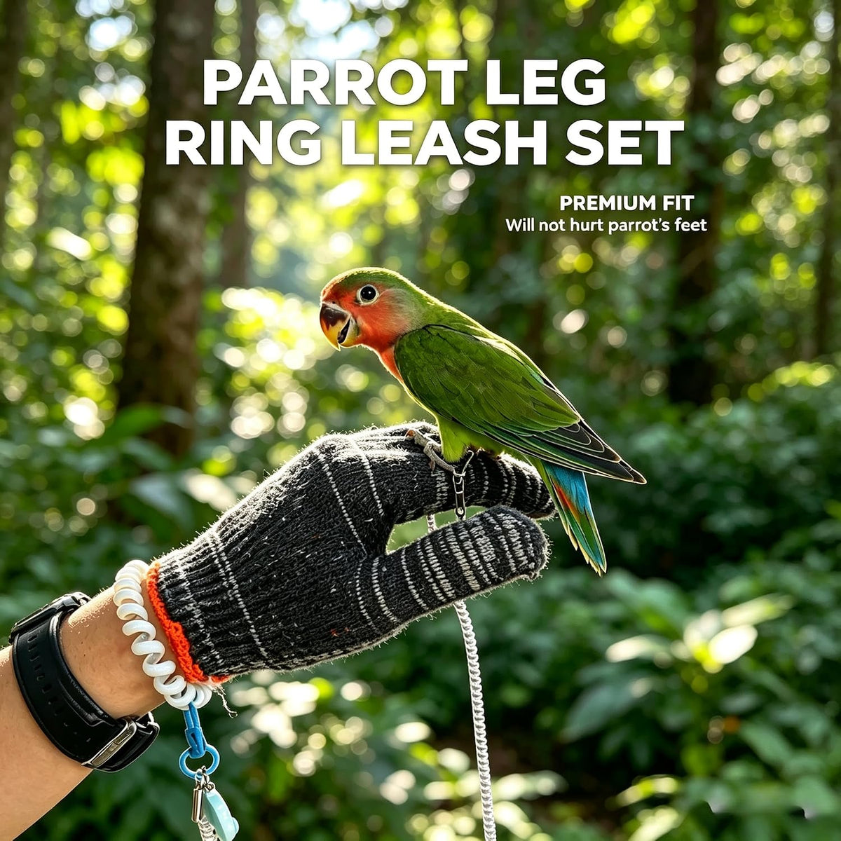 Dual-Use Bird Harness & Bungee Leash Set w/Wings, 3 Rings, Blue, Size S