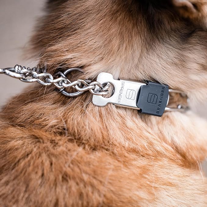 Herm Sprenger Stainless Steel Dog Collar - Image 10