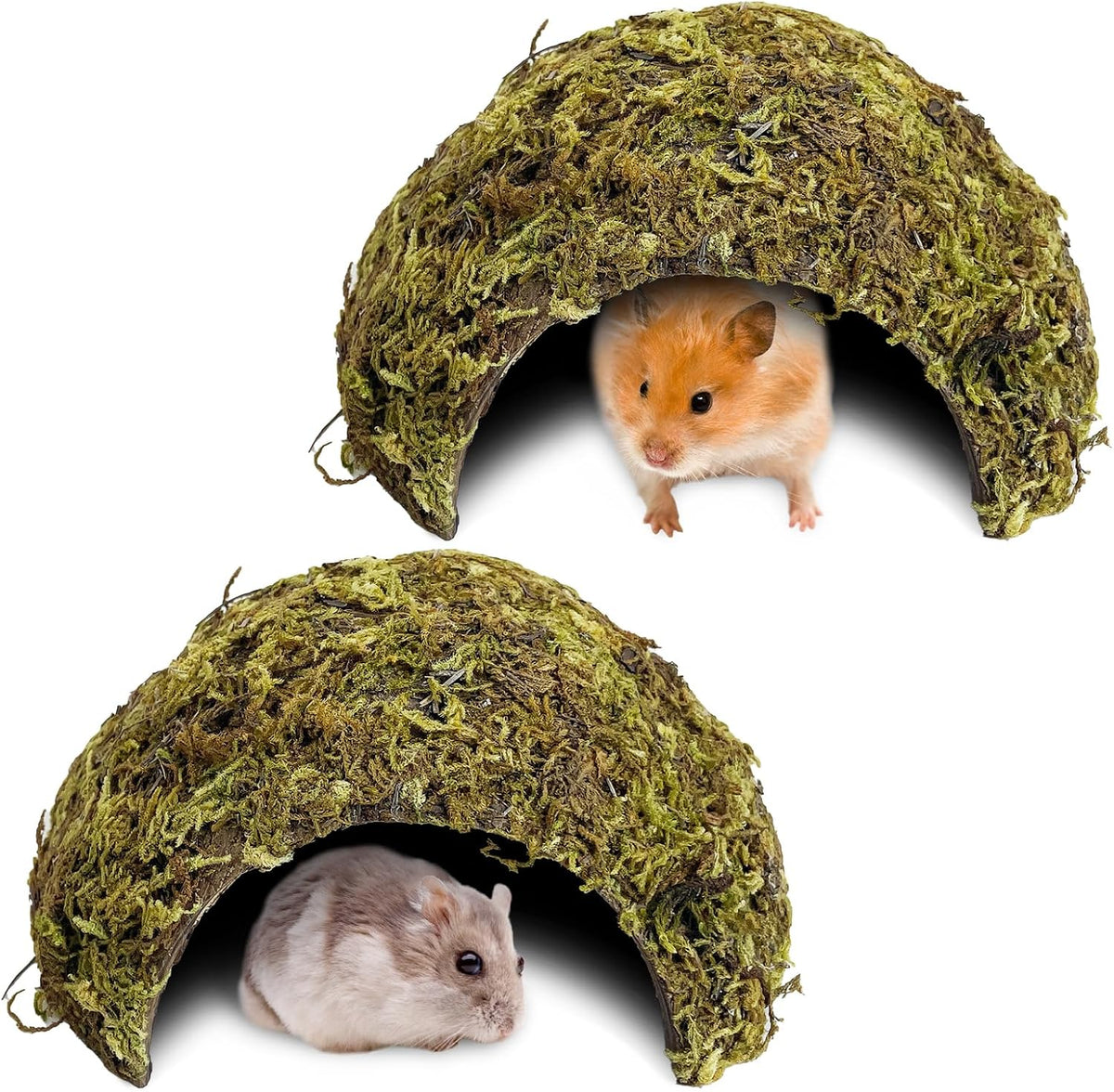 BNOSDM Hamster Hideout 2Pcs Natural Mossy Cave Houses