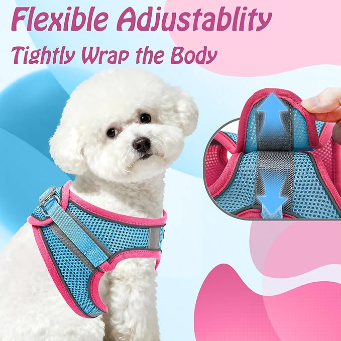 AIITLE Step in Dog Harness and Leash Set - Image 5