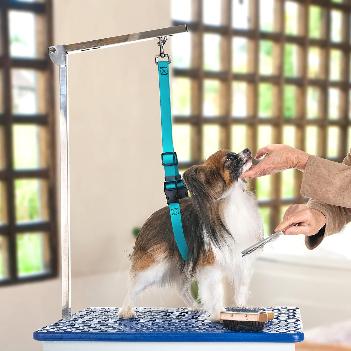 Jelly Pet Dog Belly Loop Restraint for Pet Grooming Table and Tub - Easy to Clean and Waterproof (Purple) | Made in the USA