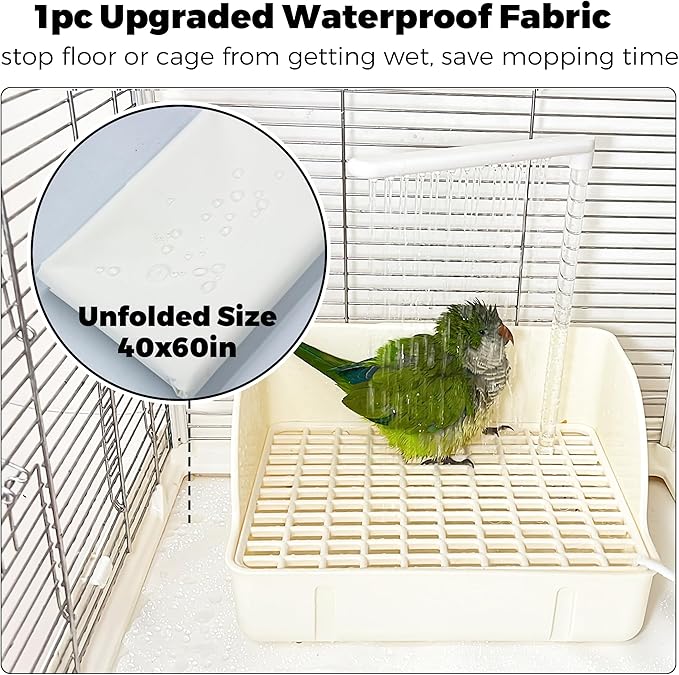 Automatic Parakeet Bird Bath - Image 3