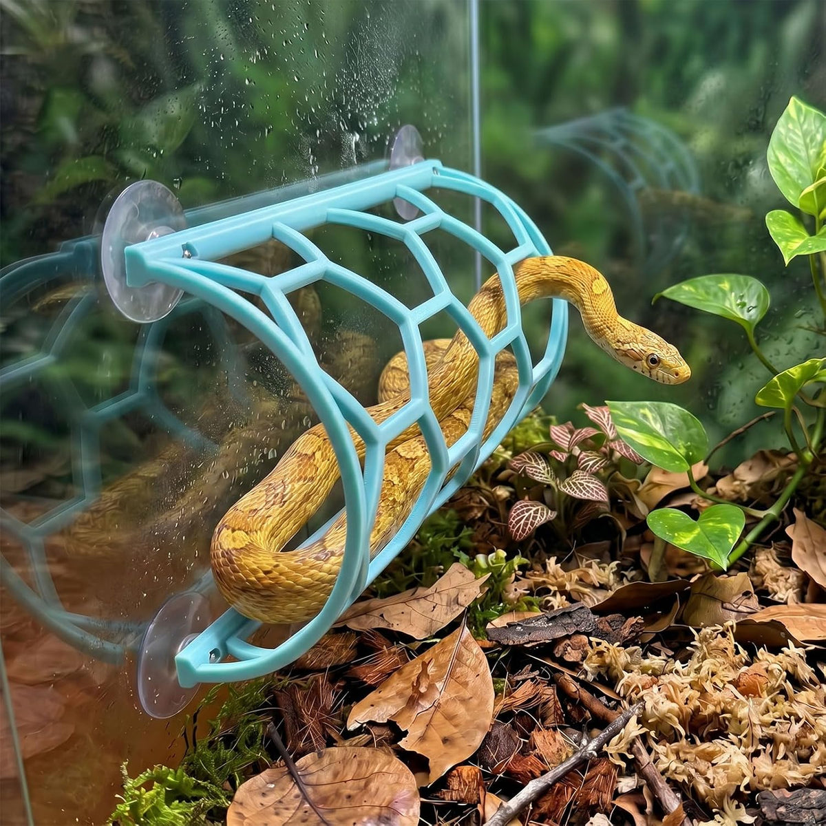 HOZOE Reptile Honeycomb Climbing Shelf, Suction Cup Mounted Snake Hide & Rest Platform, Terrarium Wall Decor Accessories for Ball Python, Corn Snake, Lizard, Bearded Dragon, Gecko (Black)