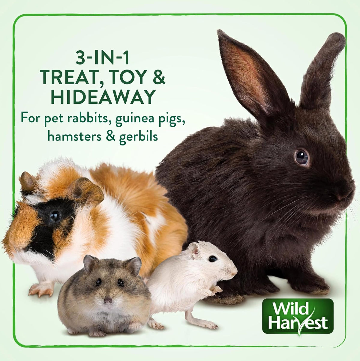 Wild Harvest Snak Shak Edible Hideaway Small Animal Treat