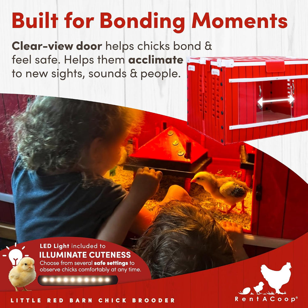 RentACoop Little Red Barn Chick Brooder
