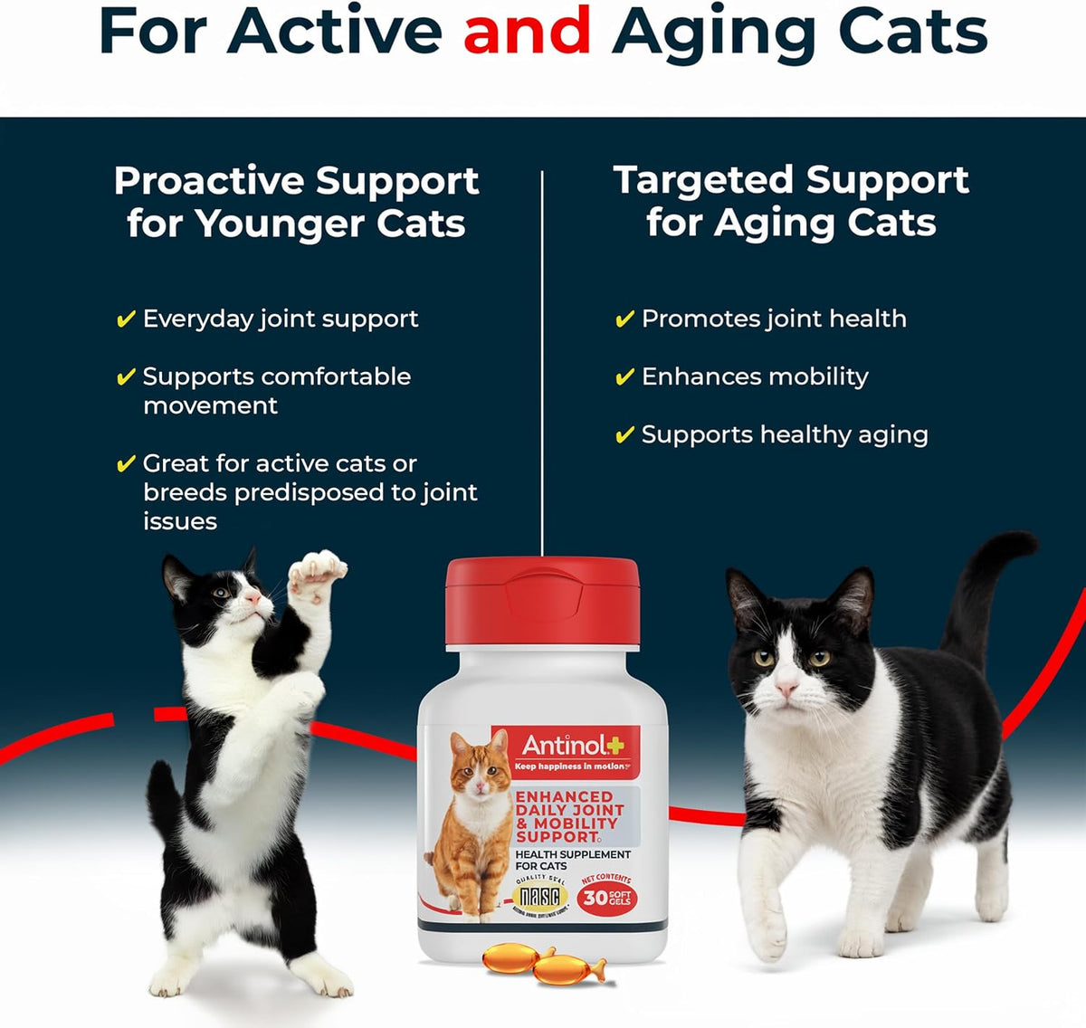 Antinol Plus Mobility Hip & Joint Supplement for Cats, 30 Soft Gels