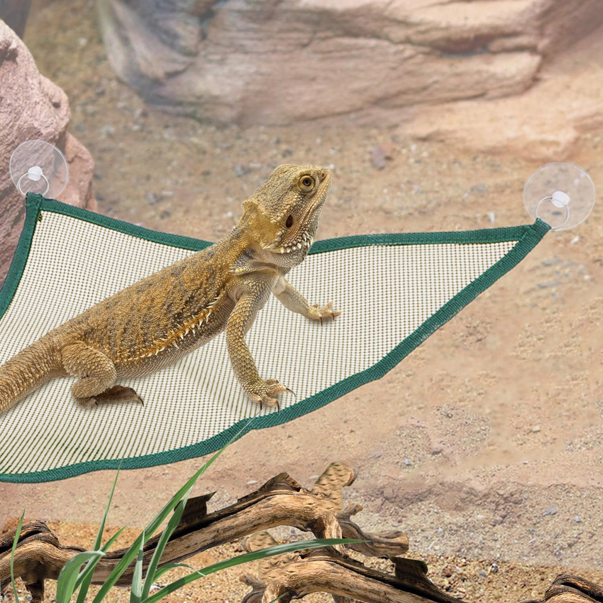 Wontee Bearded Dragon Hammock Reptile Lizard Hammock Lounger Bearded Dragon Tank Decor for Bearded Dragons Axolotls Geckos Lizards, 2 Hammock, 1 Hat (Green)