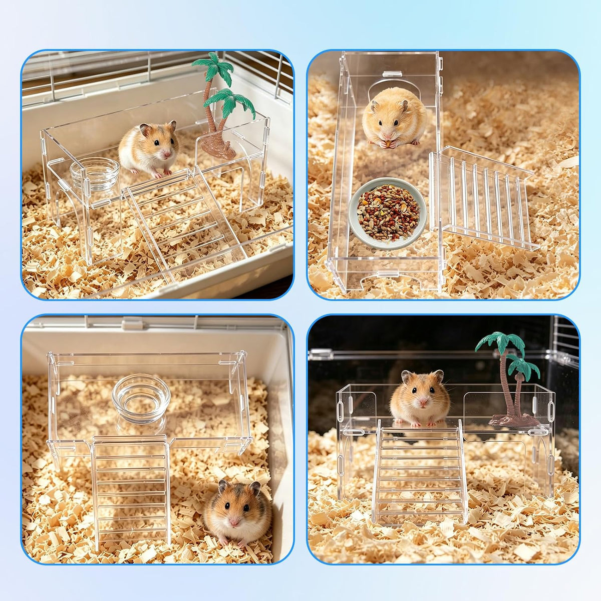 Acrylic Platforms for Dwarf Hamster, Rat, Hermit Crab