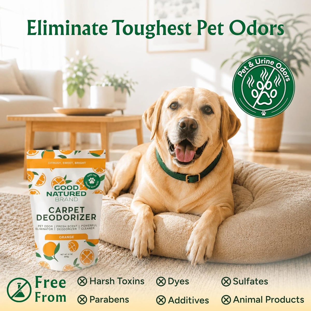 Good Natured Brand Carpet Deodorizer & Pet Odor Eliminator Powder, 31oz