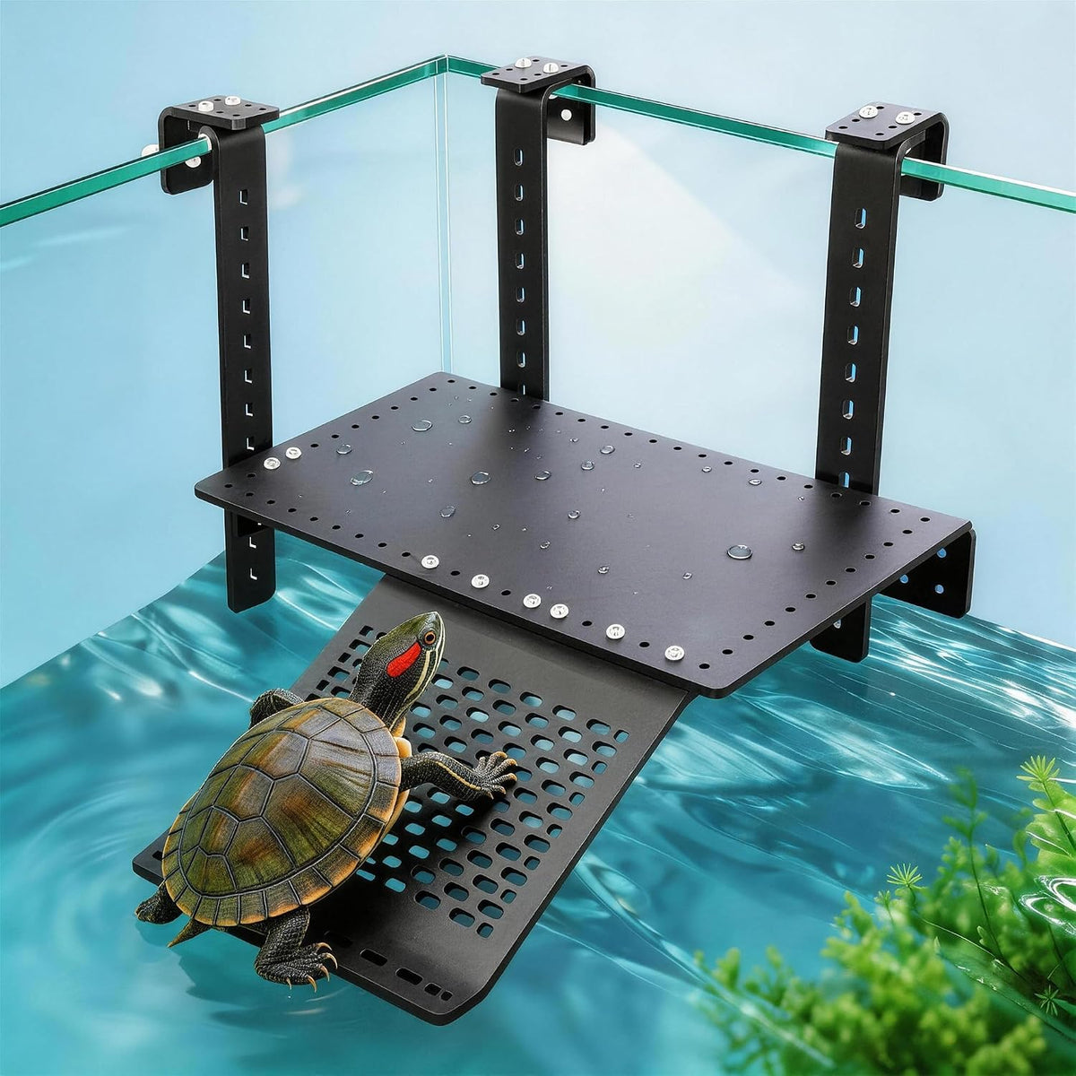Adjustable Hanging Acrylic Turtle Basking Platform 13.9x7.9 for Turtle Tank