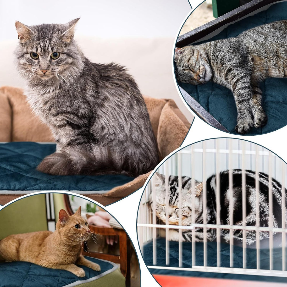 4 Pack Self Heating Cat Pad Self Warming Dog Mat, 16 x 20 Inch, Dark Blue