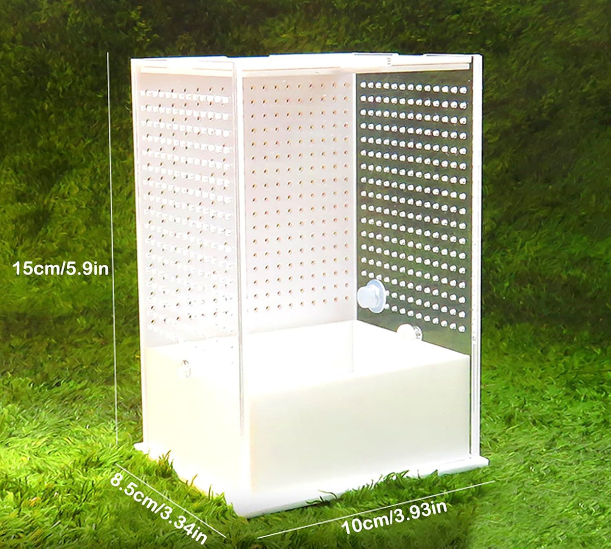OMEM Reptile Breeding Box, Insect Incubator, for Orchid Mantis, African Phantom Mantis, Reptile Resting Habitat and Entertainment