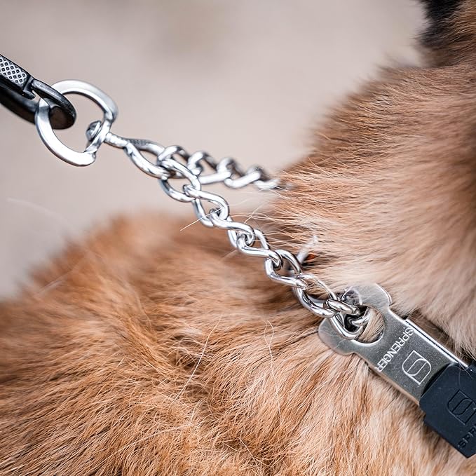 Herm Sprenger Stainless Steel Dog Collar - Image 11