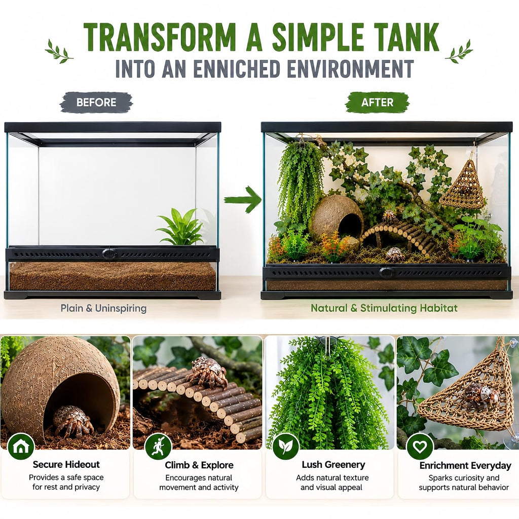 Hermit Crab Tank Accessories Kit, Coconut Hideout & Climbing Bridge