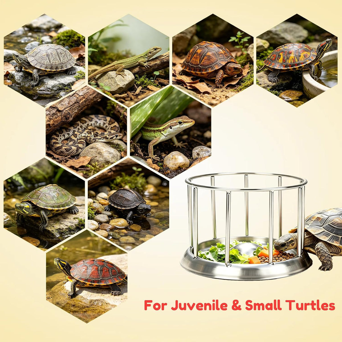 Stainless Steel Turtle Feeder, Multi-Turtle Divided Feeding Dish with Anti-Spill & Anti-Scatter Barrier, Reptile Food Bowl for Aquatic Turtles, Box Turtles, Tortoises, Bearded Dragons, Lizards (S)