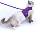 Cat Harness and Leash for Walking Escape Proof Breathable Mesh Fabric, by Yizhi+Miaow