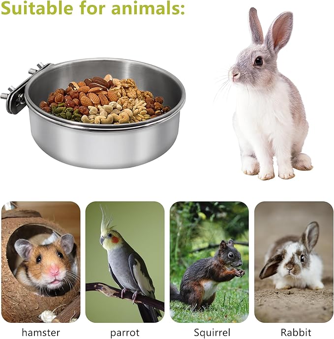 2 Pcs Medium Bird Feeding Dish Cups, Parrot Food Bowl Cage - Image 3